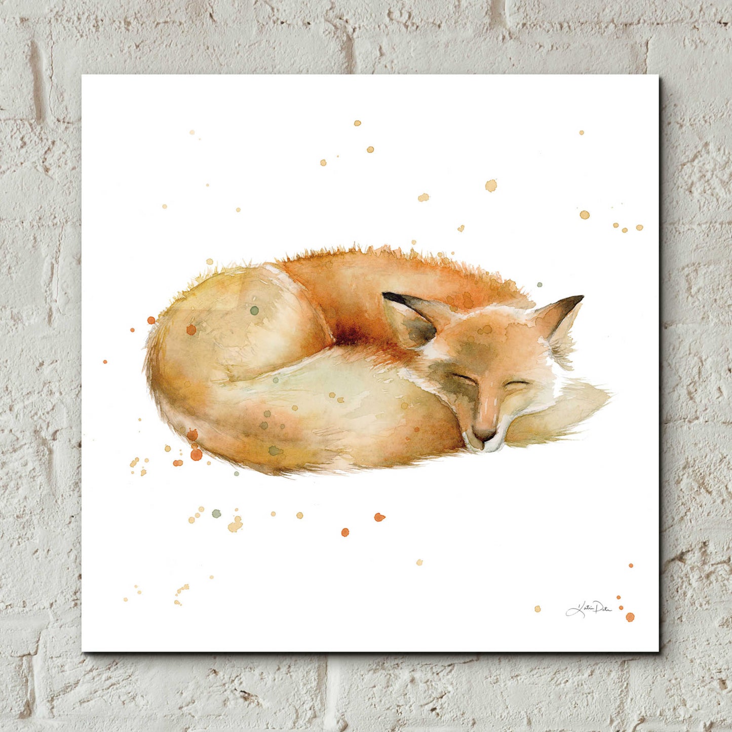 Epic Art 'Sleeping Fox' by Katrina Pete, Acrylic Glass Wall Art,12x12