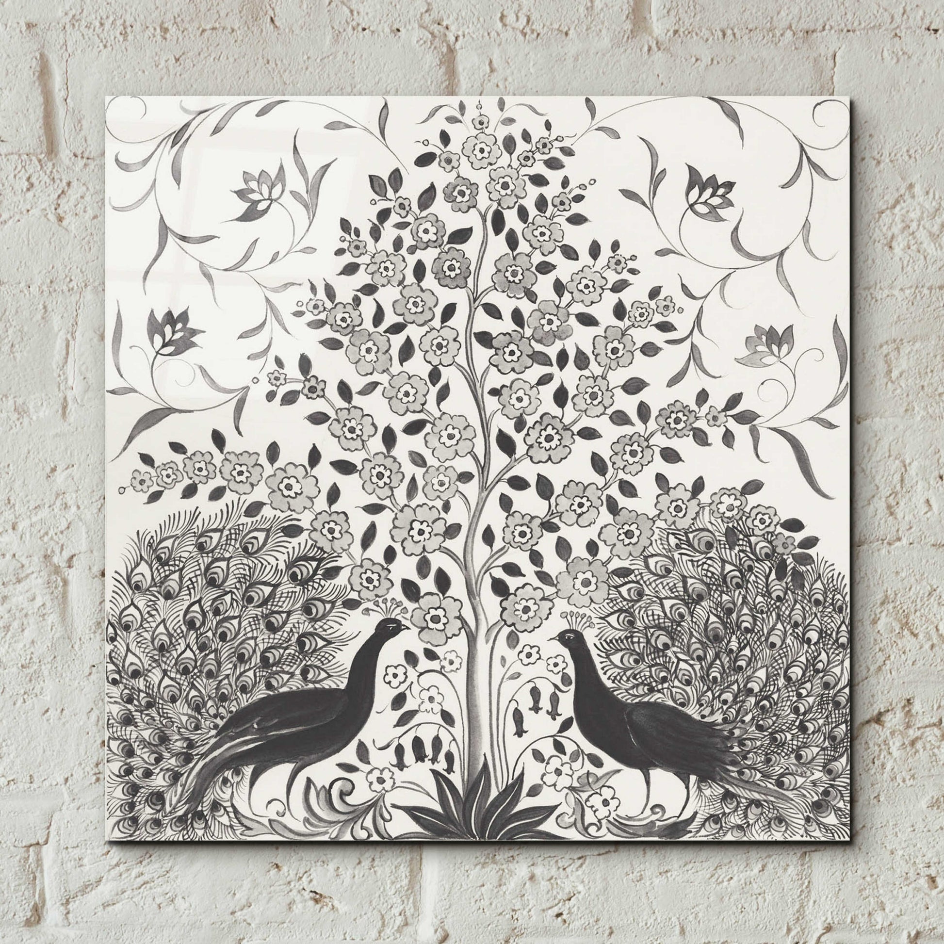 Epic Art 'Peacock Garden VIII BW' by Miranda Thomas, Acrylic Glass Wall Art,12x12