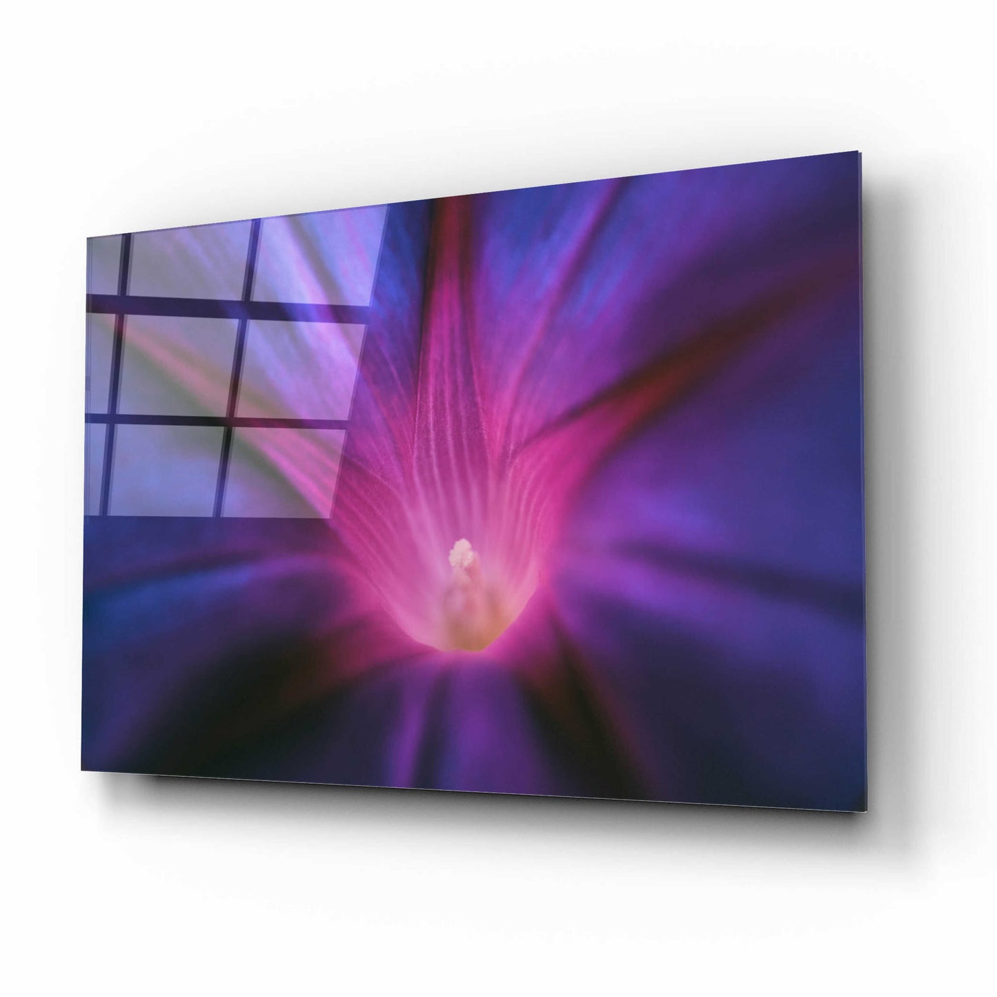Epic Art 'Purple Pageantry Winds' by Unknown Artist, Acrylic Glass Wall Art,16x12