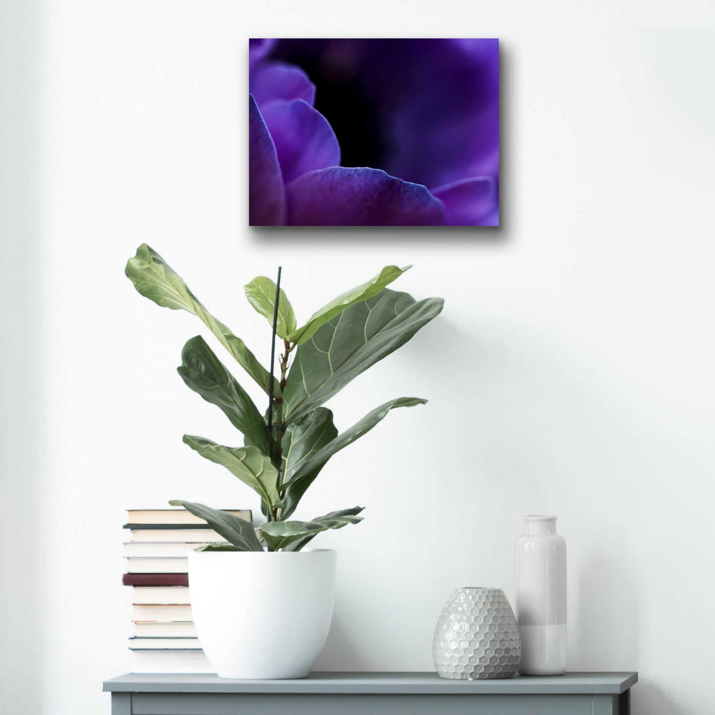 Epic Art 'Midnight Petals' by Unknown Artist, Acrylic Glass Wall Art,16x12