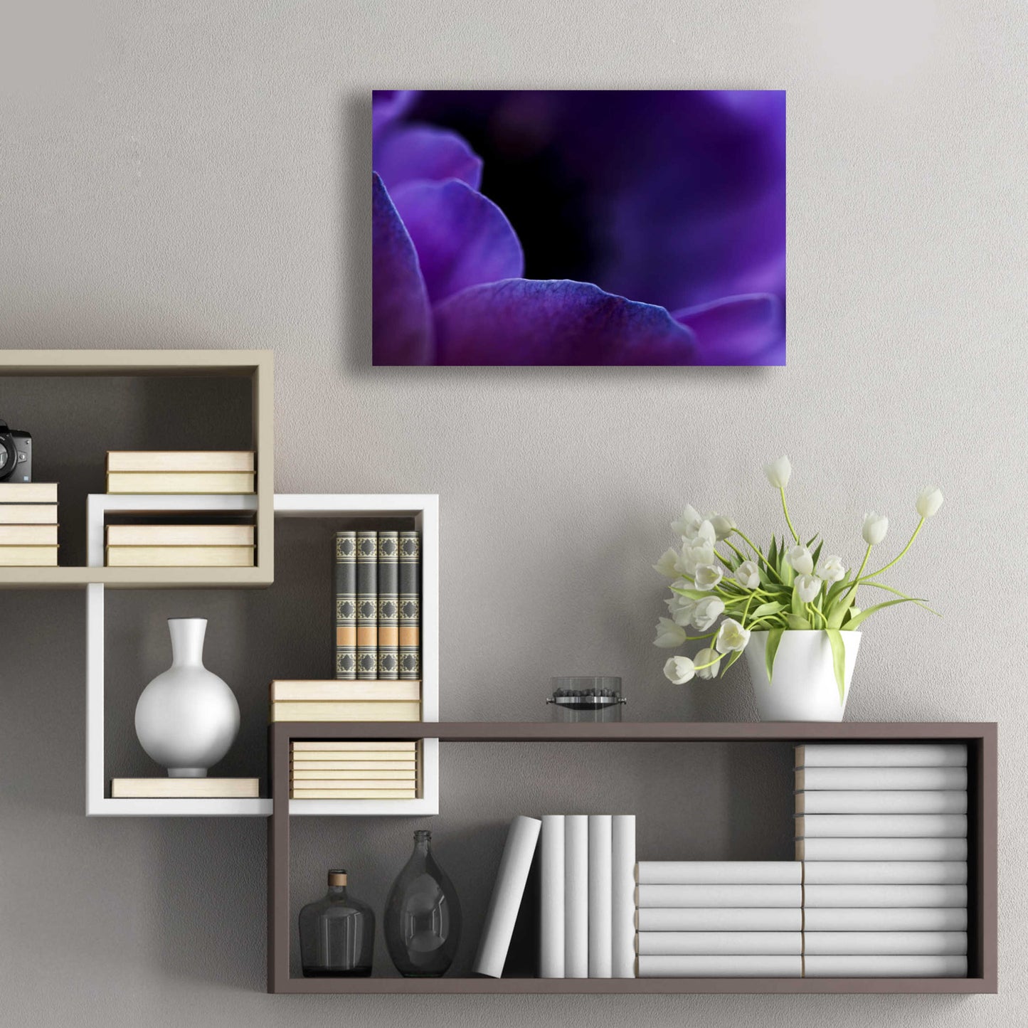 Epic Art 'Midnight Petals' by Unknown Artist, Acrylic Glass Wall Art,24x16