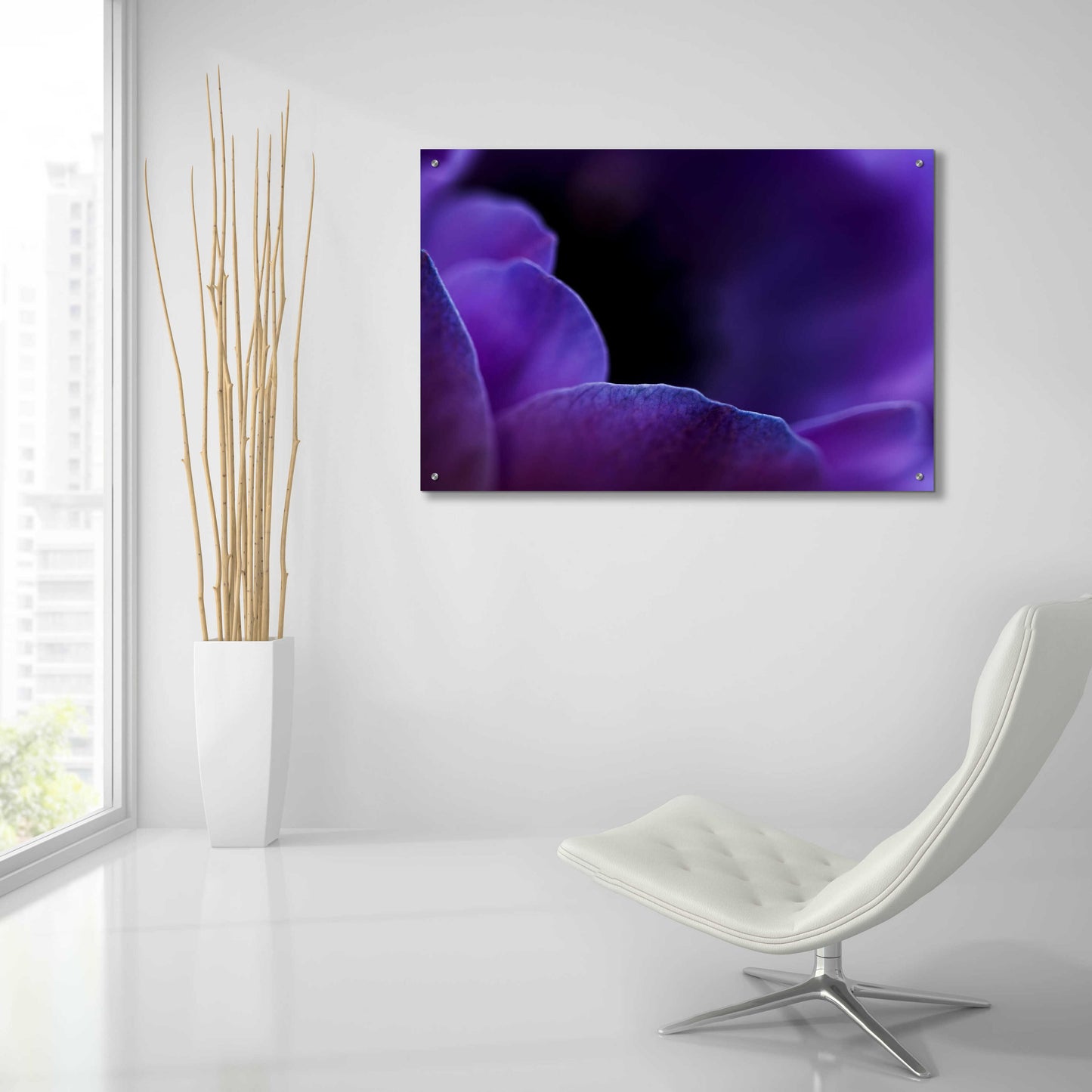 Epic Art 'Midnight Petals' by Unknown Artist, Acrylic Glass Wall Art,36x24