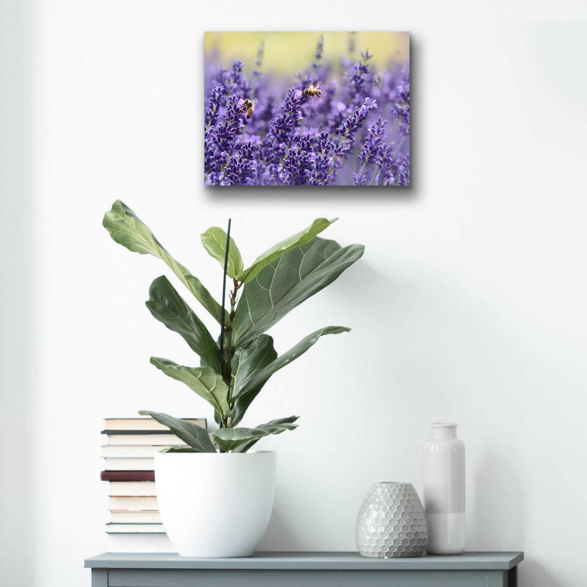 Epic Art 'Lavender Honey' by Unknown Artist, Acrylic Glass Wall Art,16x12