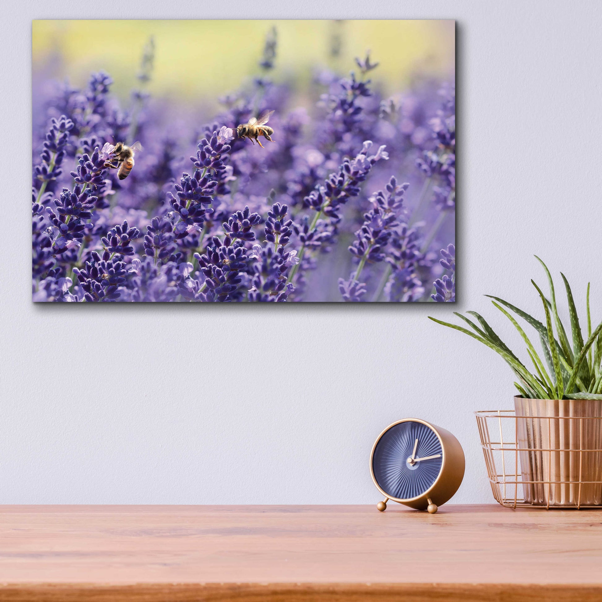 Epic Art 'Lavender Honey' by Unknown Artist, Acrylic Glass Wall Art,16x12