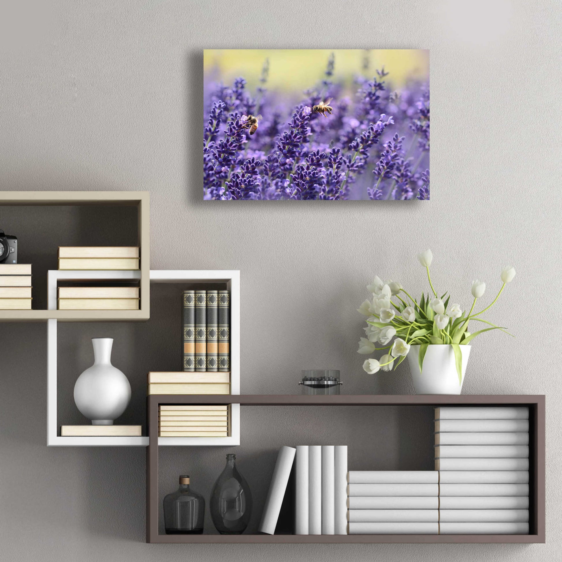 Epic Art 'Lavender Honey' by Unknown Artist, Acrylic Glass Wall Art,24x16