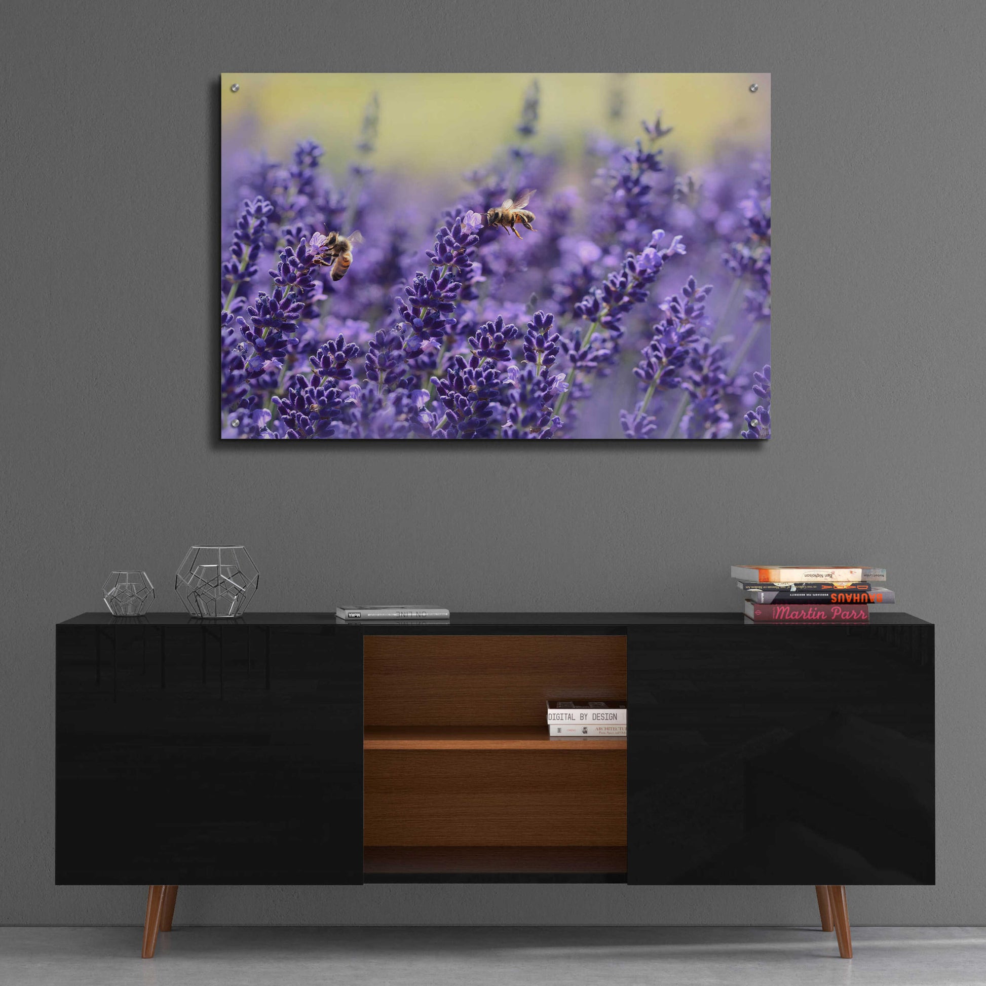 Epic Art 'Lavender Honey' by Unknown Artist, Acrylic Glass Wall Art,36x24