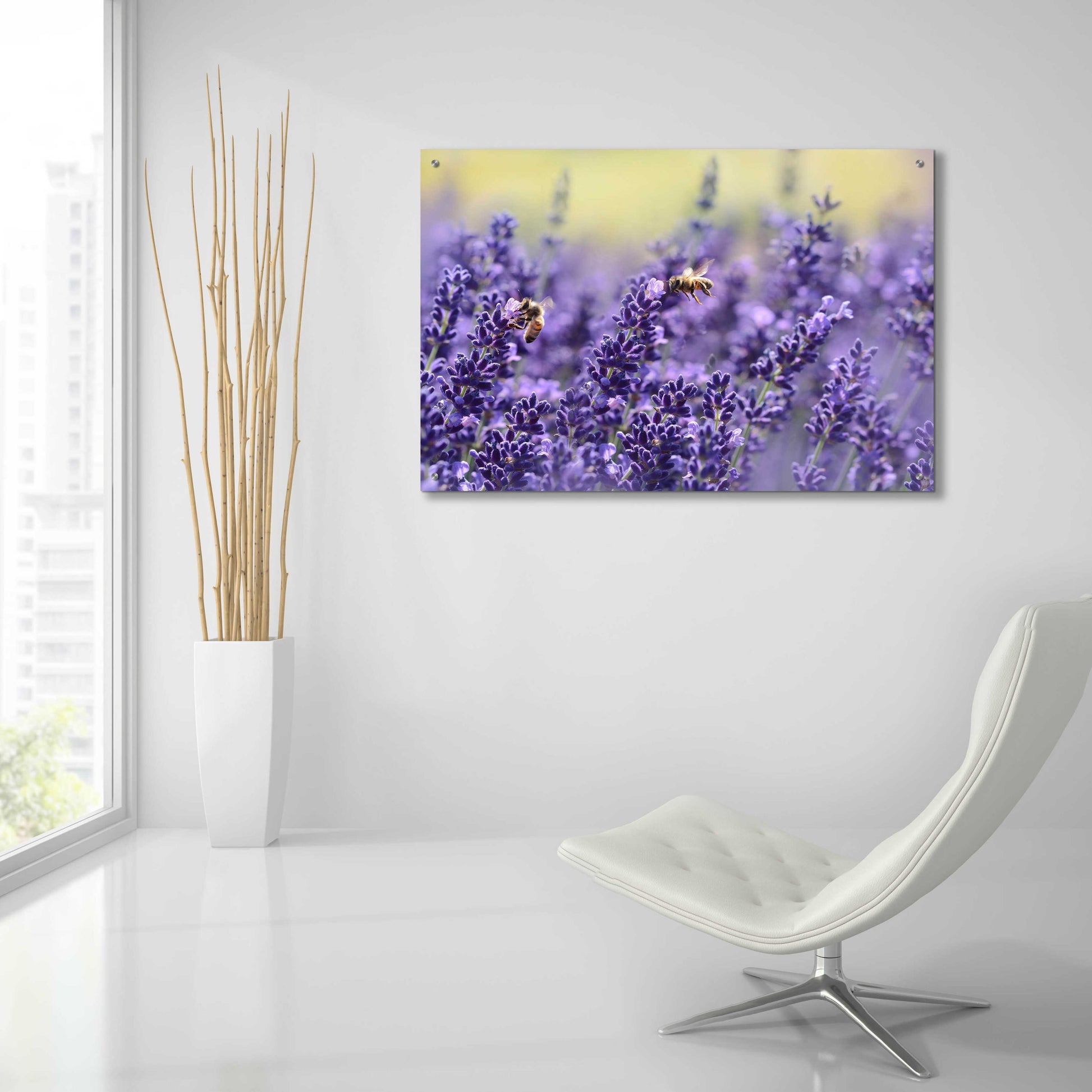 Epic Art 'Lavender Honey' by Unknown Artist, Acrylic Glass Wall Art,36x24