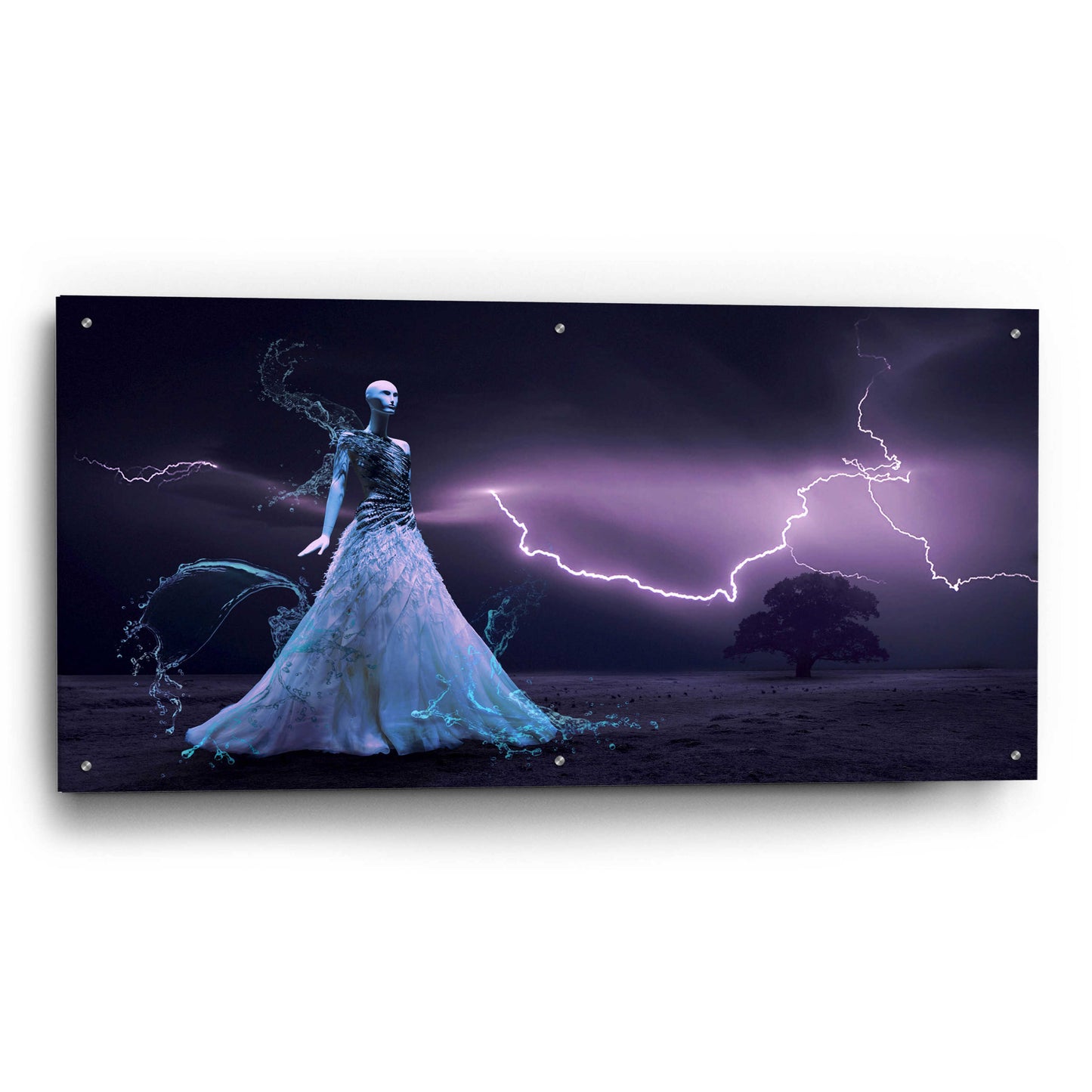 Epic Art 'Iris Fantasy' by Unknown Artist, Acrylic Glass Wall Art,48x24