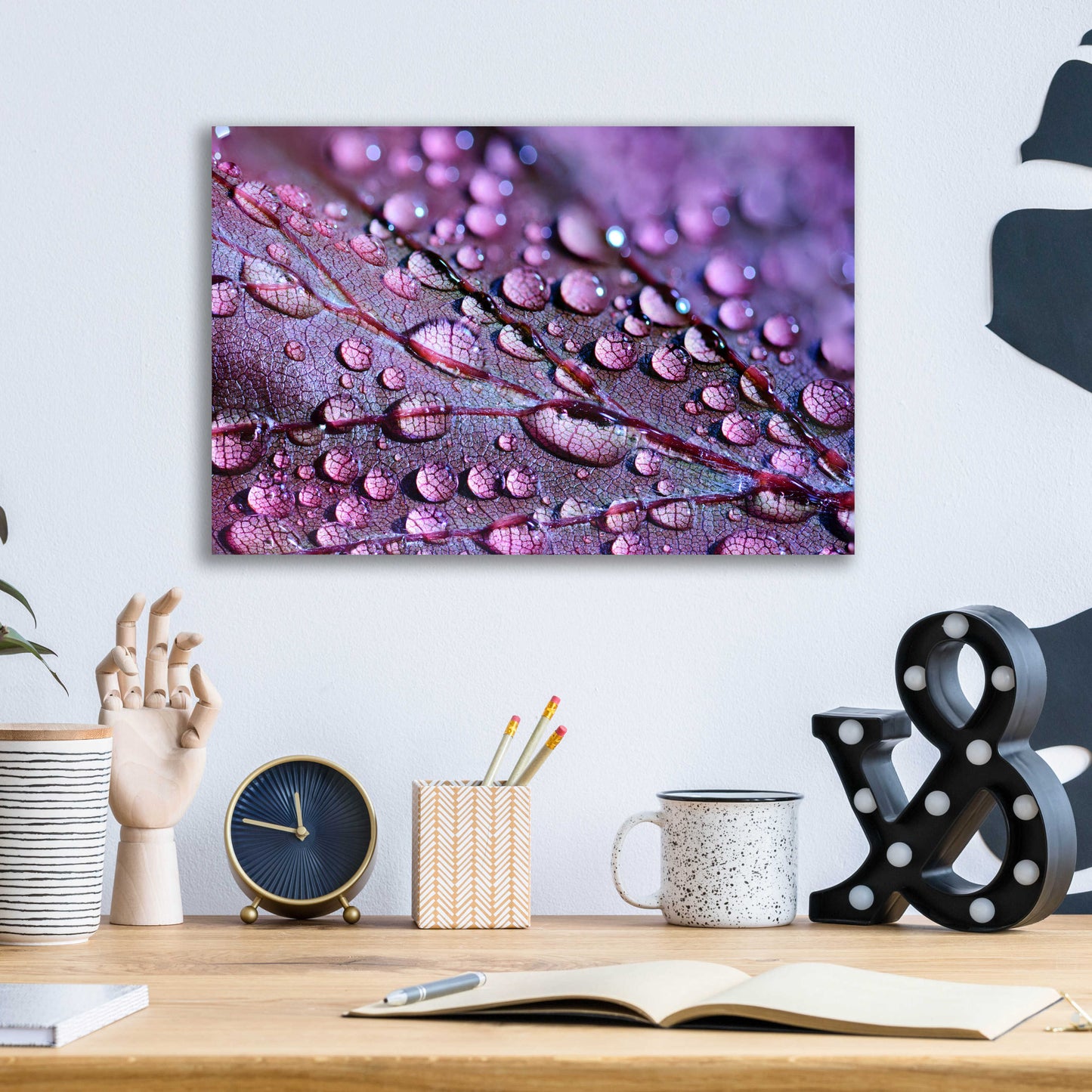 Epic Art 'Dewdrops' by Unknown Artist, Acrylic Glass Wall Art,16x12