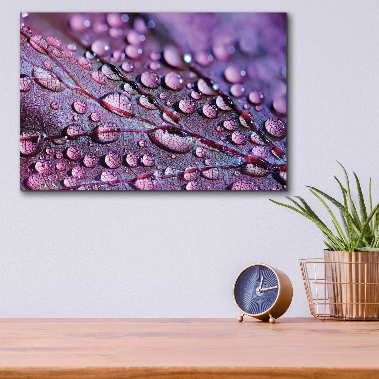 Epic Art 'Dewdrops' by Unknown Artist, Acrylic Glass Wall Art,16x12