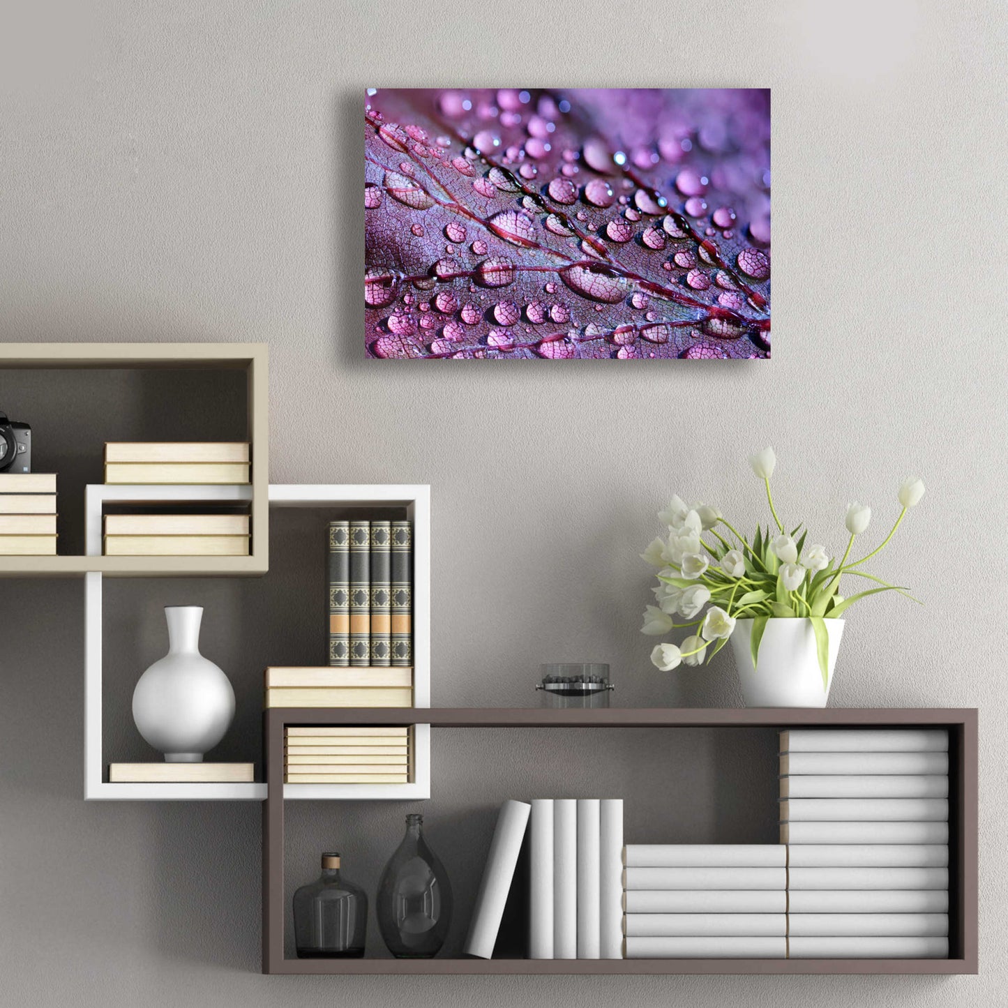 Epic Art 'Dewdrops' by Unknown Artist, Acrylic Glass Wall Art,24x16