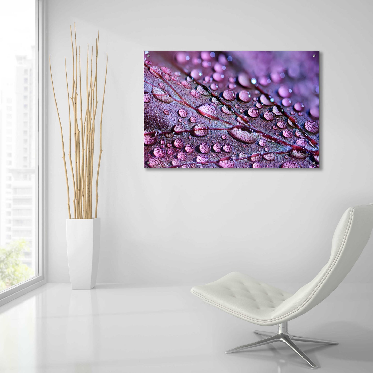 Epic Art 'Dewdrops' by Unknown Artist, Acrylic Glass Wall Art,36x24