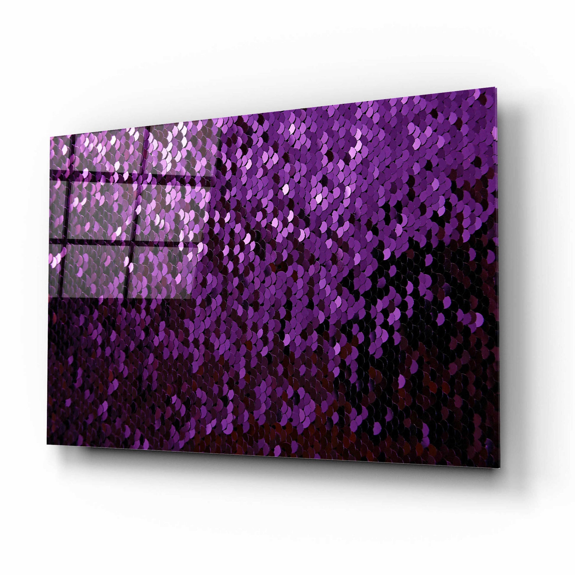 Epic Art 'Betta Sequins' by Unknown Artist, Acrylic Glass Wall Art,16x12