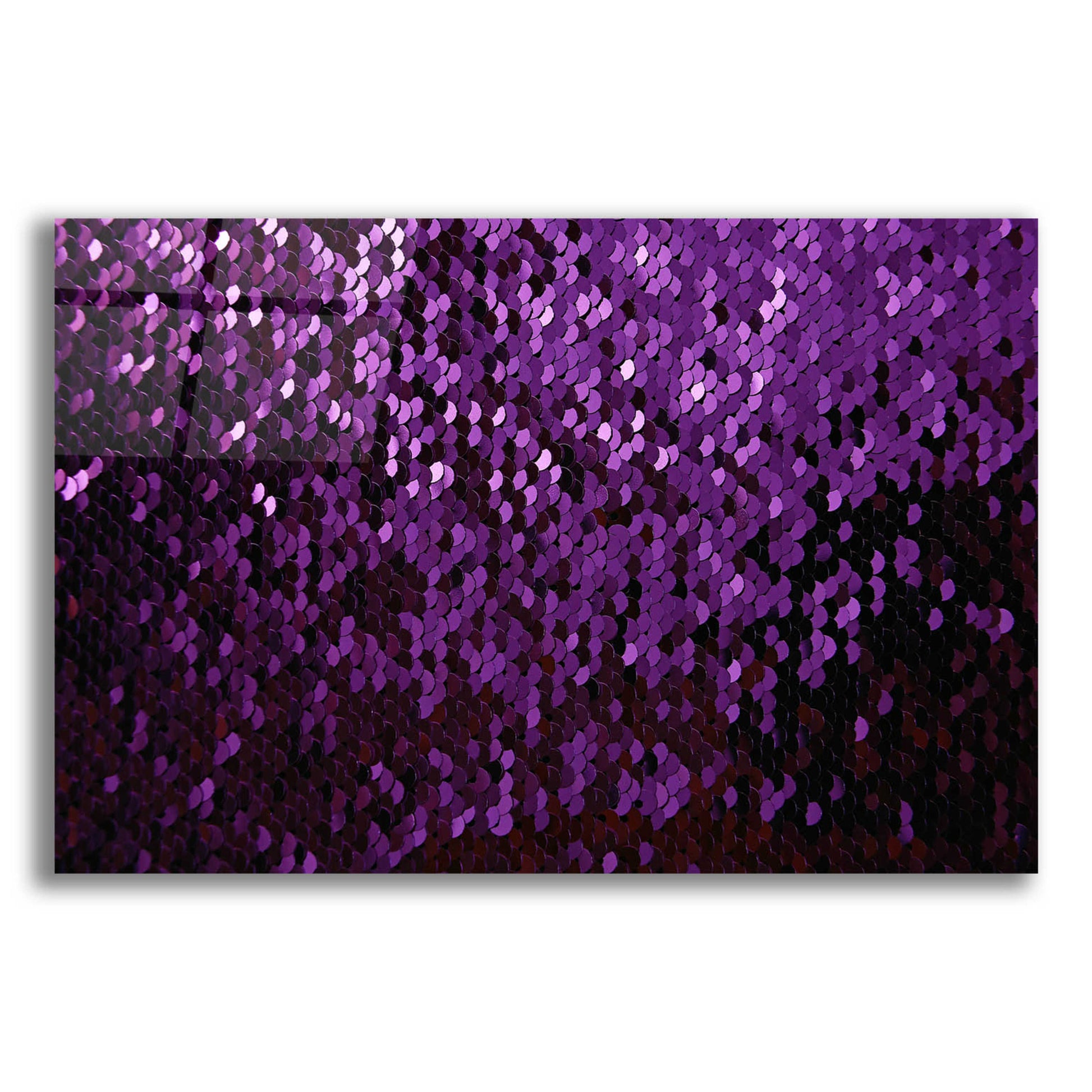 Epic Art 'Betta Sequins' by Unknown Artist, Acrylic Glass Wall Art,16x12