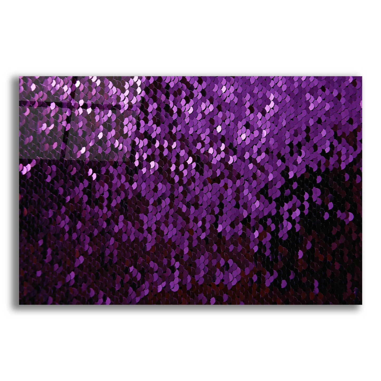 Epic Art 'Betta Sequins' by Unknown Artist, Acrylic Glass Wall Art,24x16