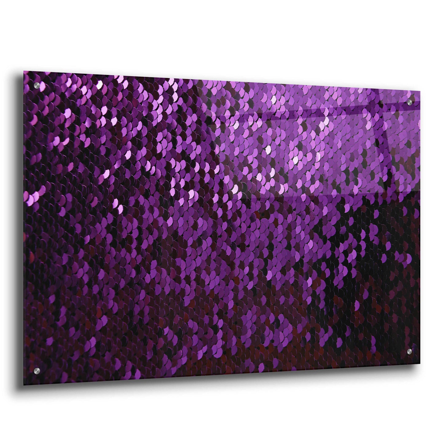 Epic Art 'Betta Sequins' by Unknown Artist, Acrylic Glass Wall Art,36x24