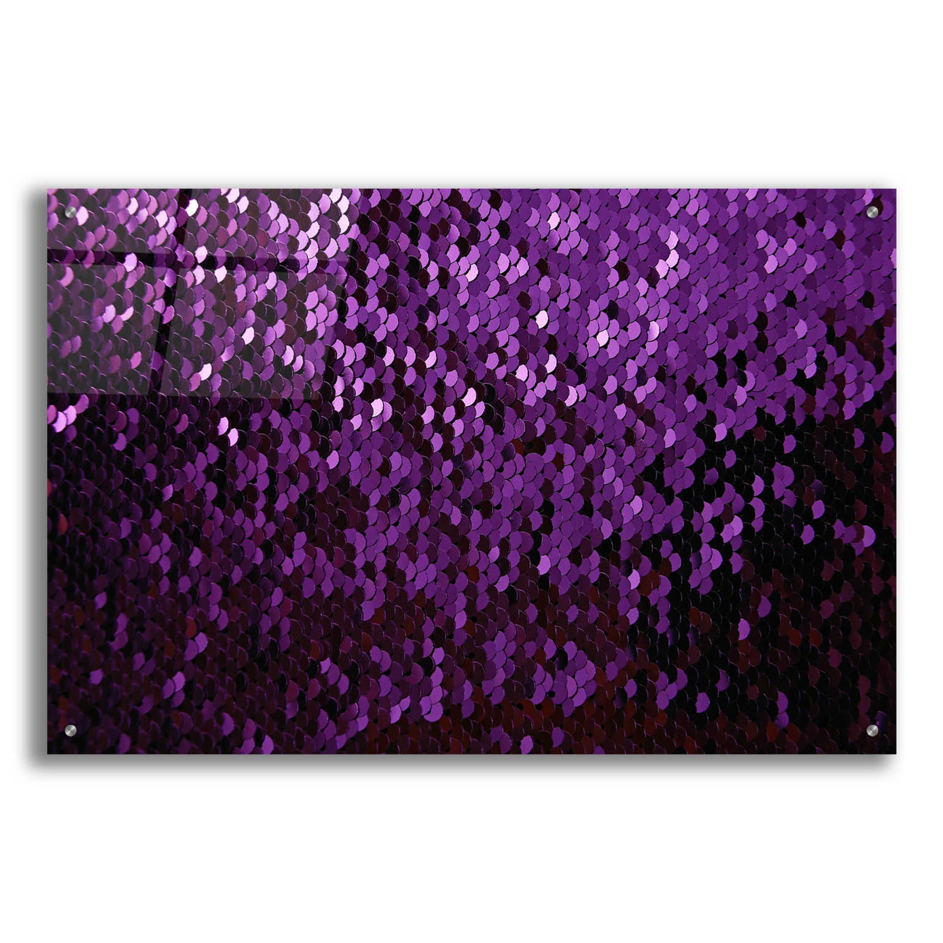 Epic Art 'Betta Sequins' by Unknown Artist, Acrylic Glass Wall Art,36x24