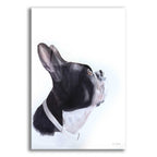 Epic Art 'Breakfast Time' by Aimee Del Valle, Acrylic Glass Wall Art