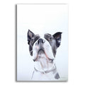 Epic Art 'Bird Watching' by Aimee Del Valle, Acrylic Glass Wall Art
