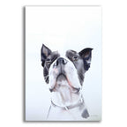 Epic Art 'Bird Watching' by Aimee Del Valle, Acrylic Glass Wall Art