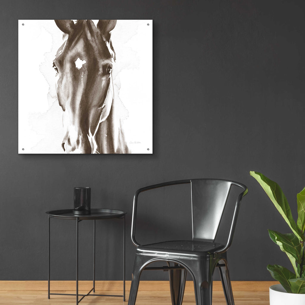 Le Cheval Noir Brown by Alan Majchrowicz - 36x36 acrylic wall art in a room