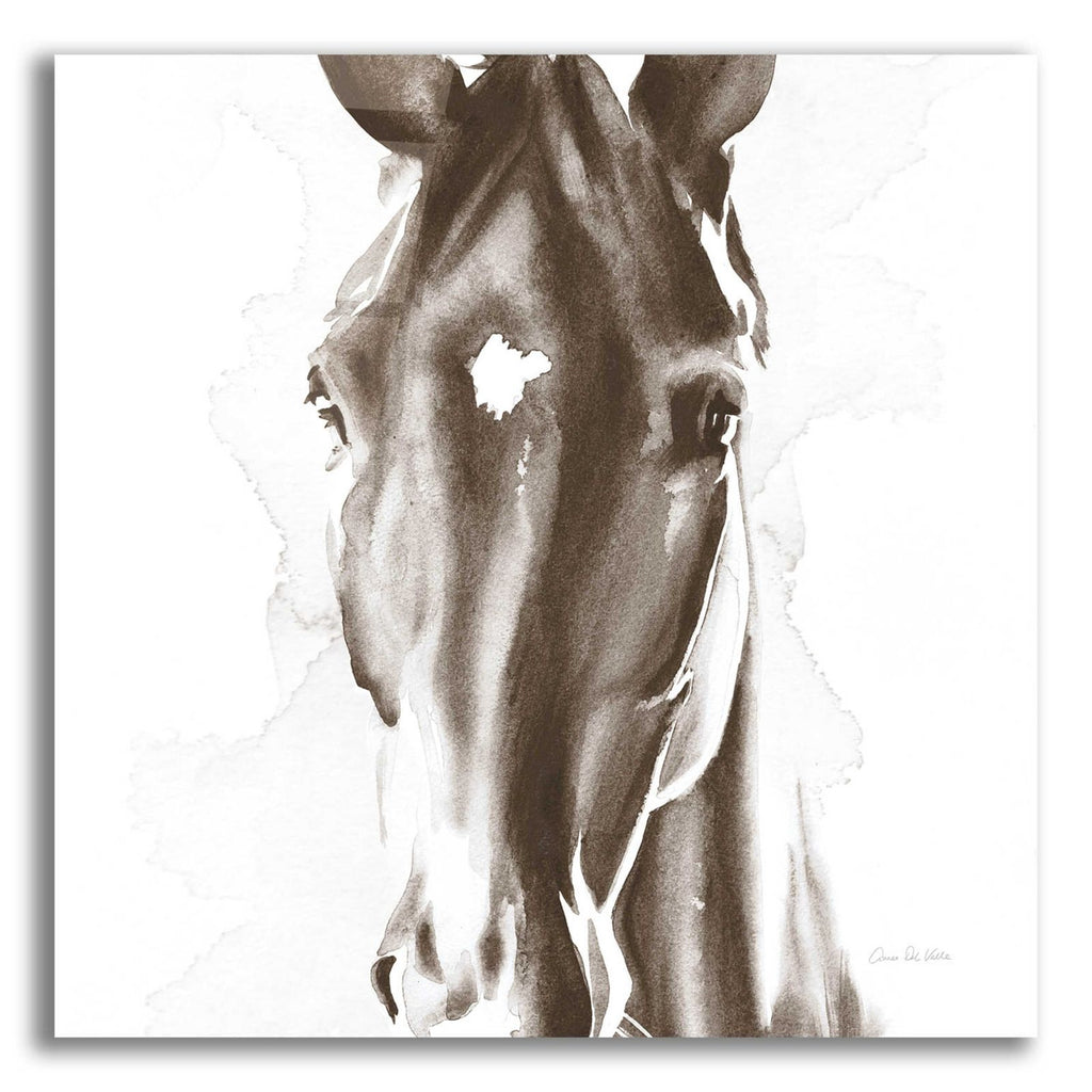 Le Cheval Noir Brown by Alan Majchrowicz acrylic glass wall art