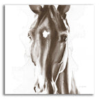 Le Cheval Noir Brown by Alan Majchrowicz acrylic glass wall art