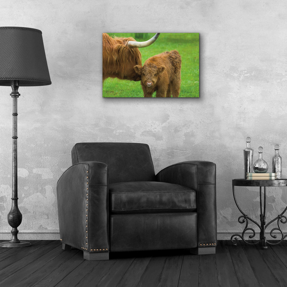 Scottish Highland Cattle VII by Alan Majchrowicz - 24x16 acrylic wall art in a room