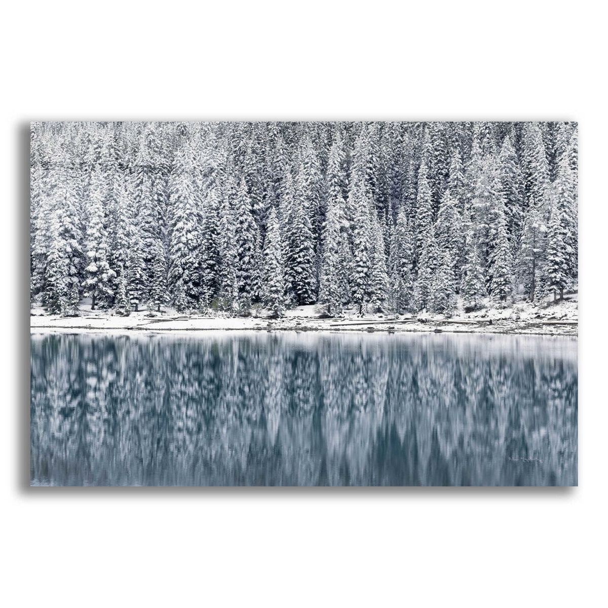 Winter Reflections by Alan Majchrowicz acrylic glass wall art
