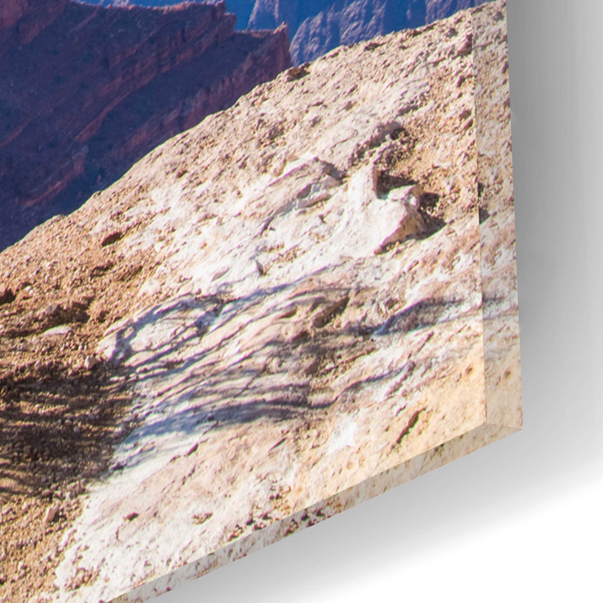 Epic Art ' Dead Tree In Grand Canyon' by Robin Vandenabeele, Acrylic Glass Wall Art,12x16