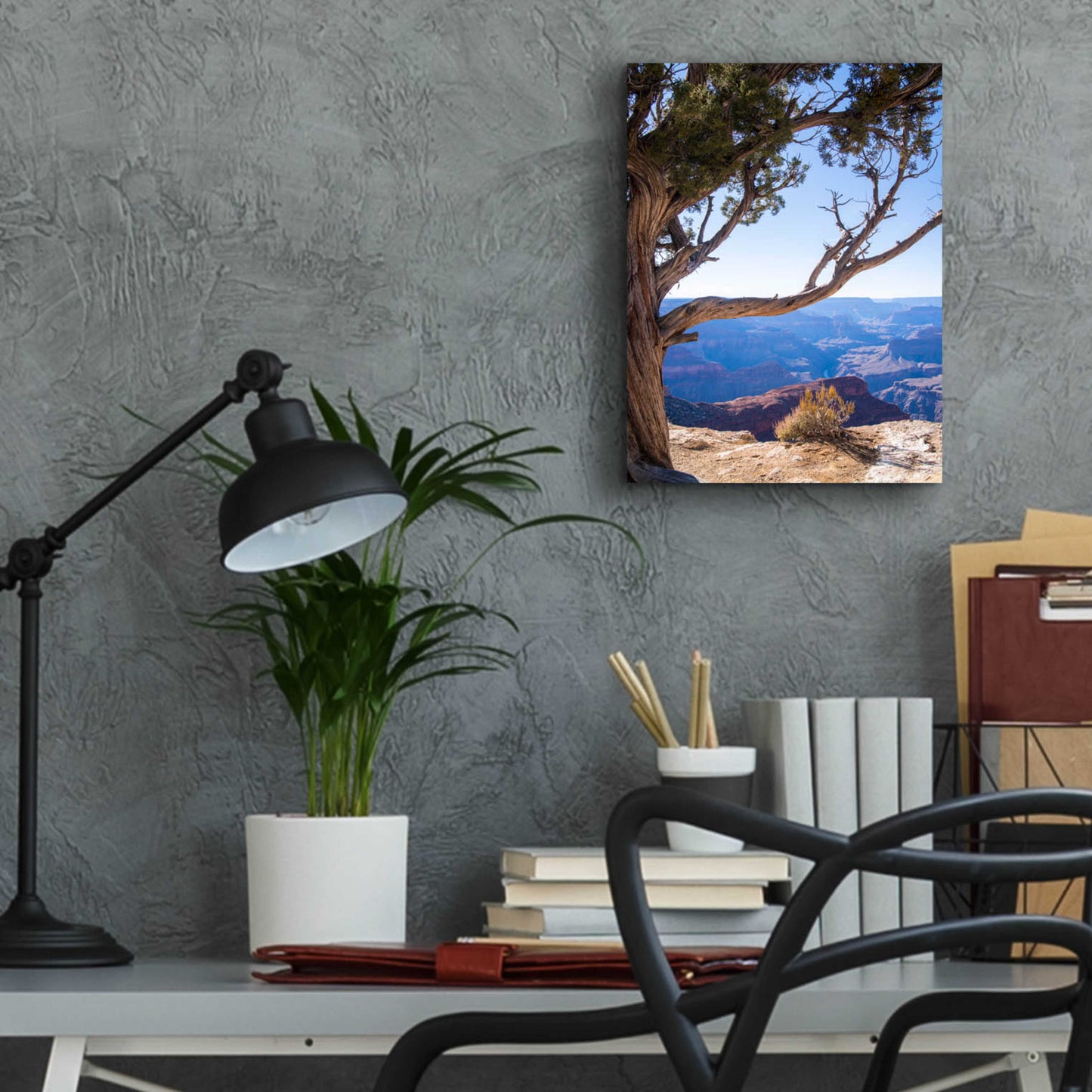 Epic Art ' Dead Tree In Grand Canyon' by Robin Vandenabeele, Acrylic Glass Wall Art,12x16