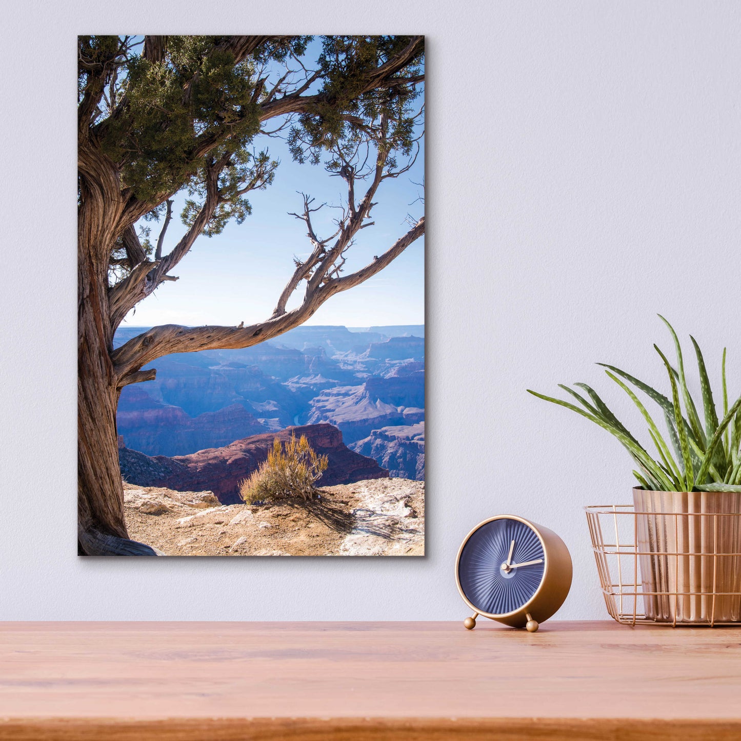 Epic Art ' Dead Tree In Grand Canyon' by Robin Vandenabeele, Acrylic Glass Wall Art,12x16