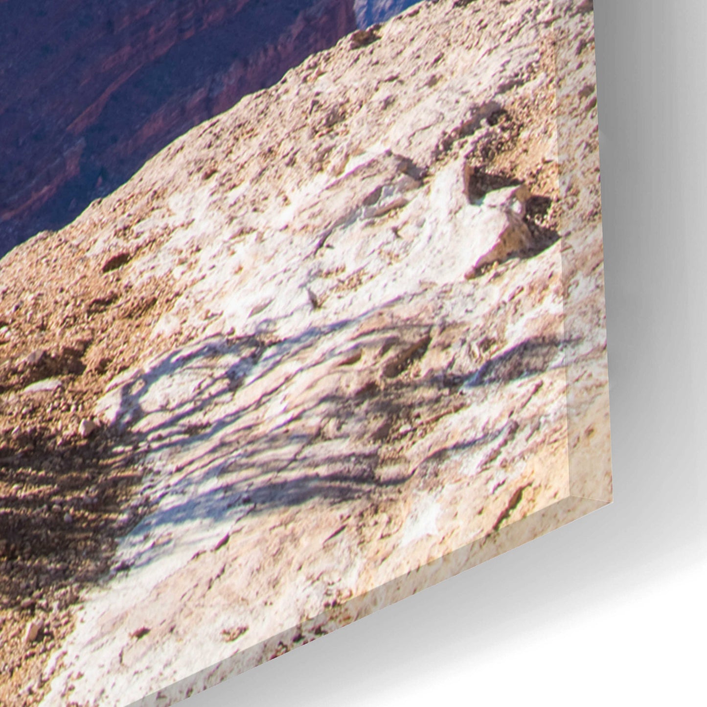 Epic Art ' Dead Tree In Grand Canyon' by Robin Vandenabeele, Acrylic Glass Wall Art,16x24