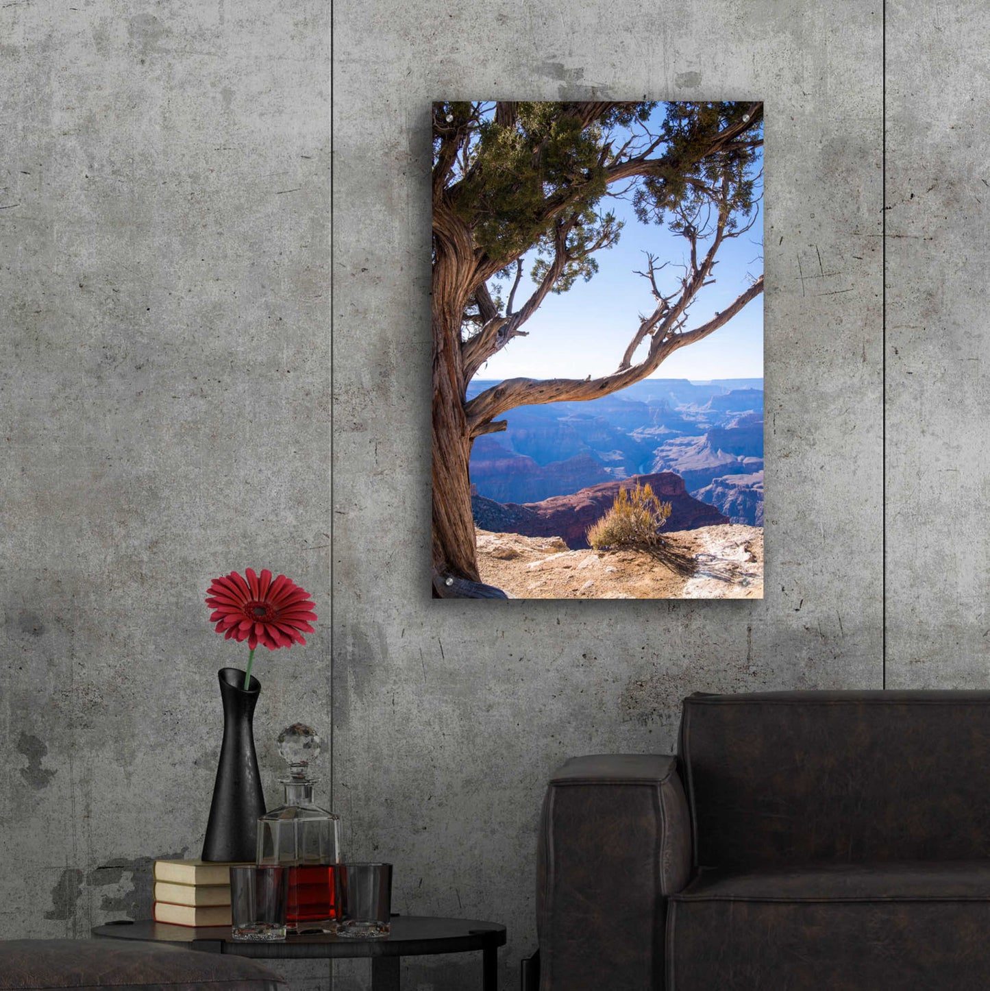 Epic Art ' Dead Tree In Grand Canyon' by Robin Vandenabeele, Acrylic Glass Wall Art,24x36