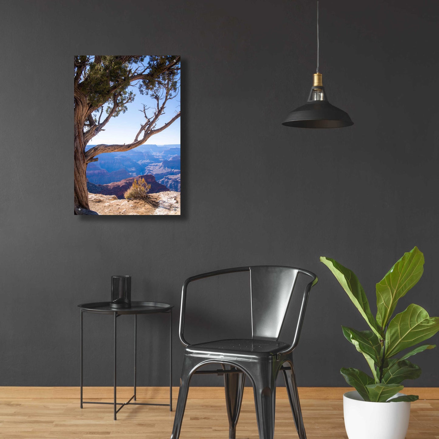 Epic Art ' Dead Tree In Grand Canyon' by Robin Vandenabeele, Acrylic Glass Wall Art,24x36