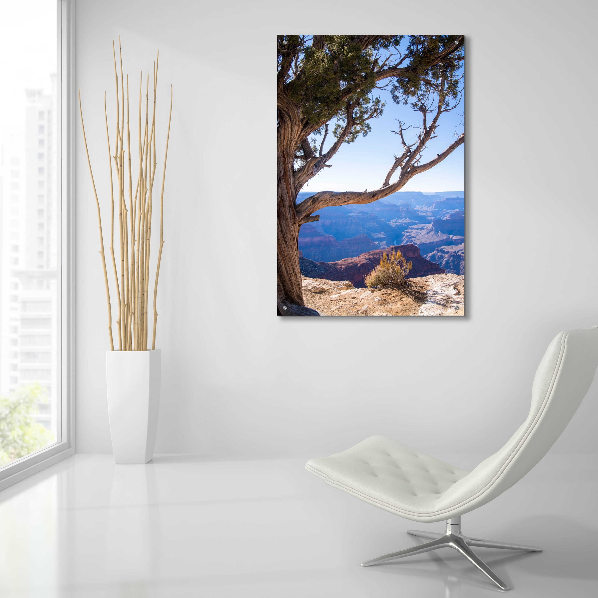 Epic Art ' Dead Tree In Grand Canyon' by Robin Vandenabeele, Acrylic Glass Wall Art,24x36