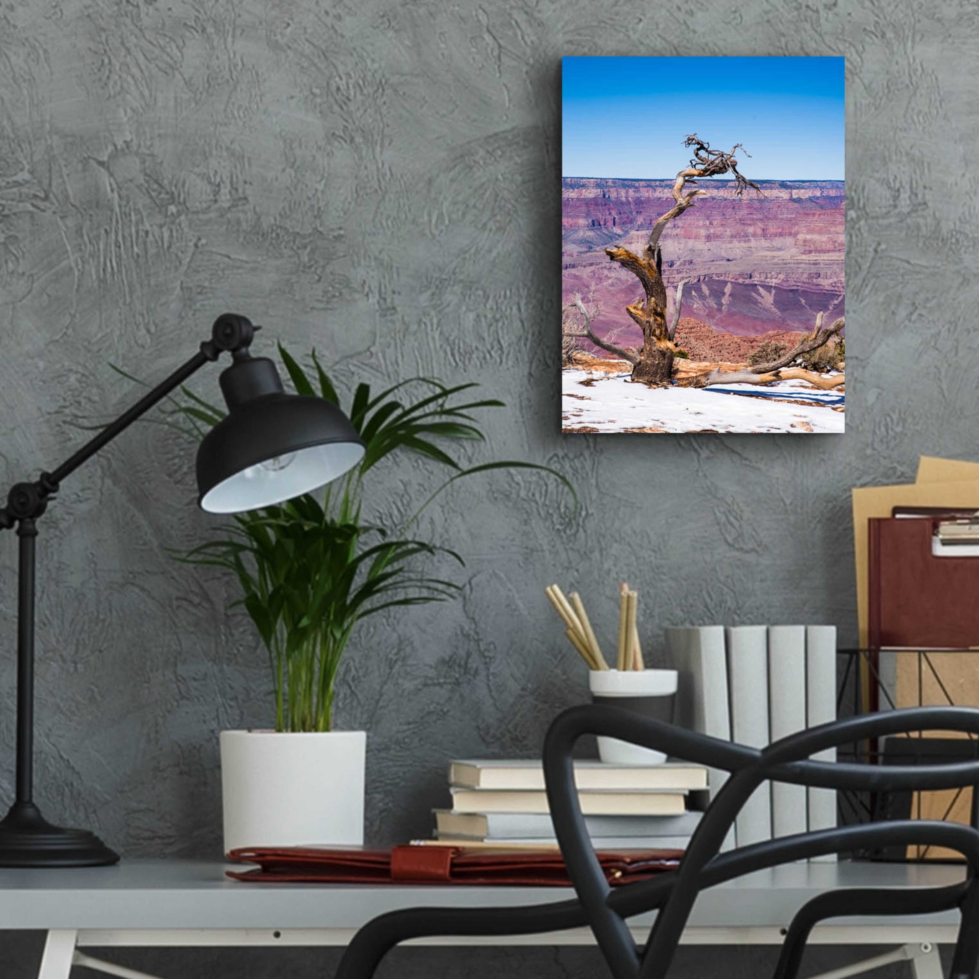 Epic Art ' Dead Tree In Grand Canyon II' by Robin Vandenabeele, Acrylic Glass Wall Art,12x16