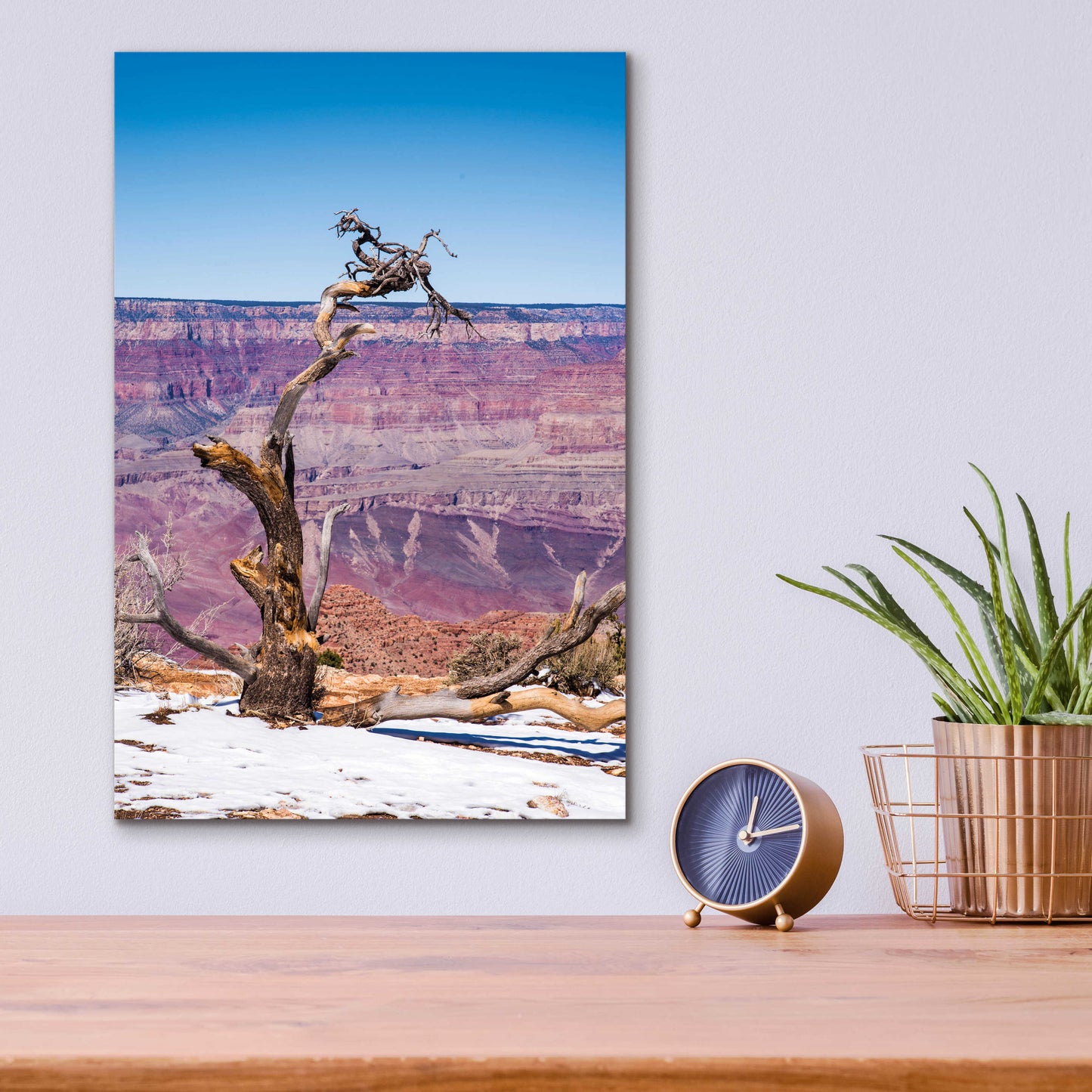 Epic Art ' Dead Tree In Grand Canyon II' by Robin Vandenabeele, Acrylic Glass Wall Art,12x16