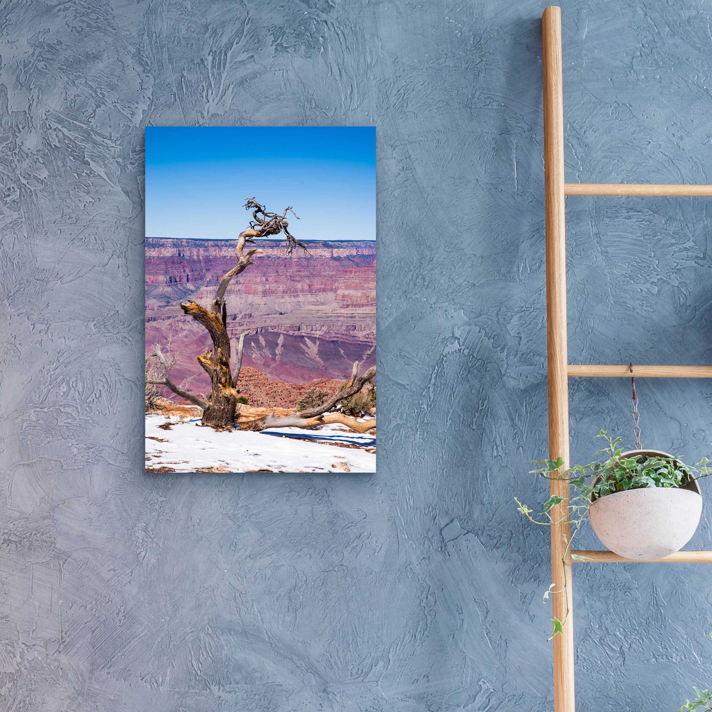 Epic Art ' Dead Tree In Grand Canyon II' by Robin Vandenabeele, Acrylic Glass Wall Art,16x24