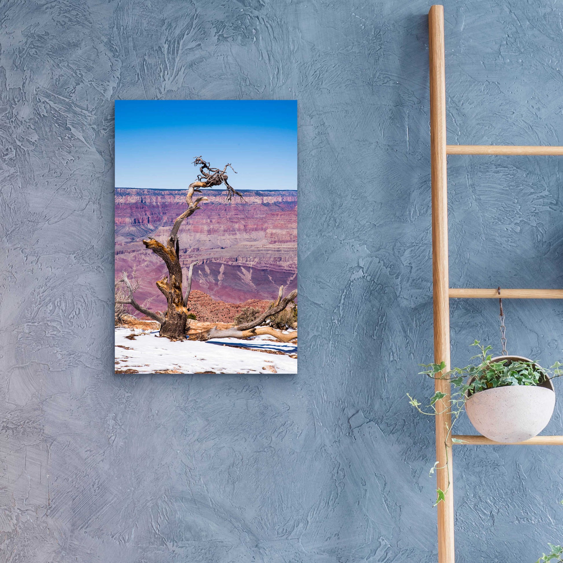 Epic Art ' Dead Tree In Grand Canyon II' by Robin Vandenabeele, Acrylic Glass Wall Art,16x24