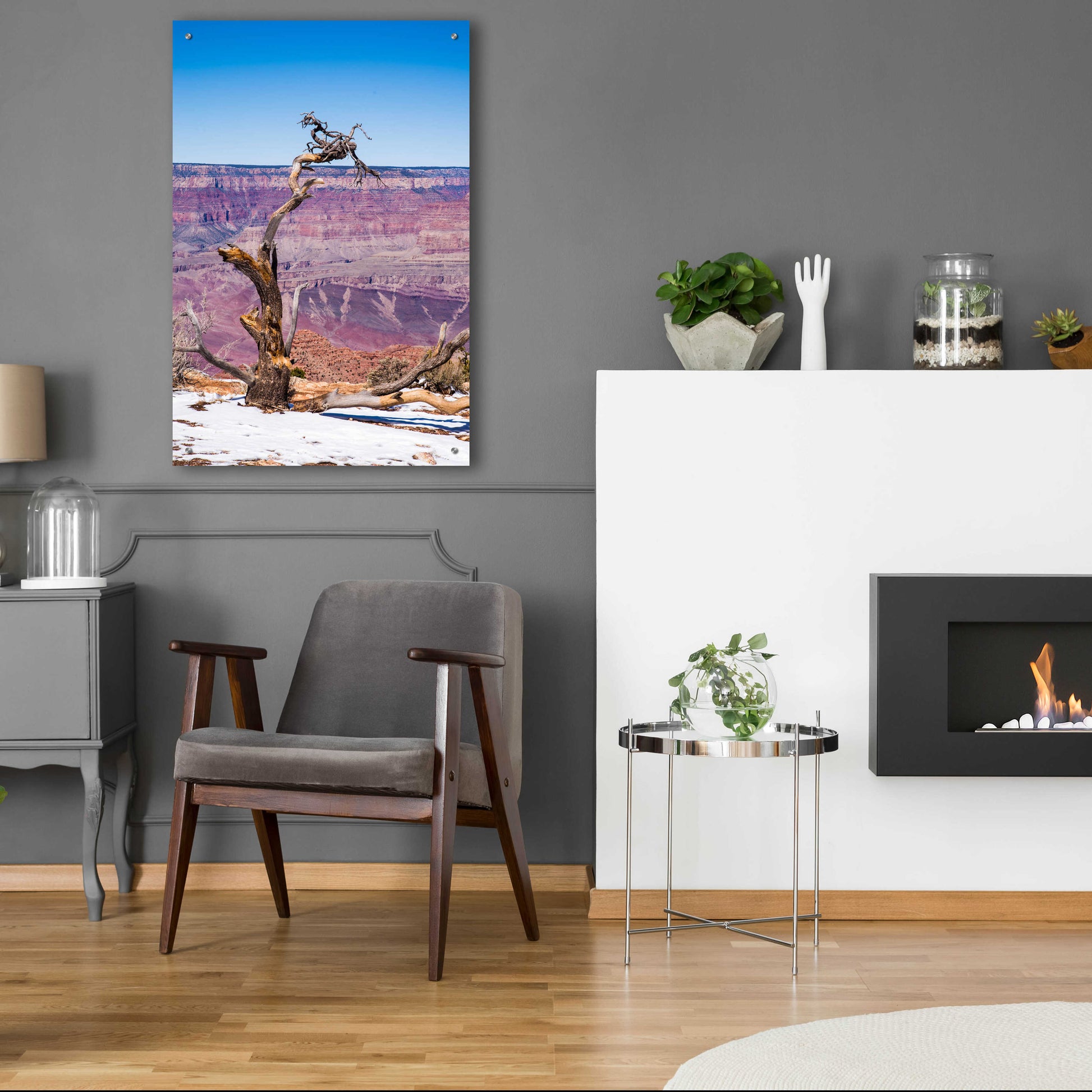 Epic Art ' Dead Tree In Grand Canyon II' by Robin Vandenabeele, Acrylic Glass Wall Art,24x36