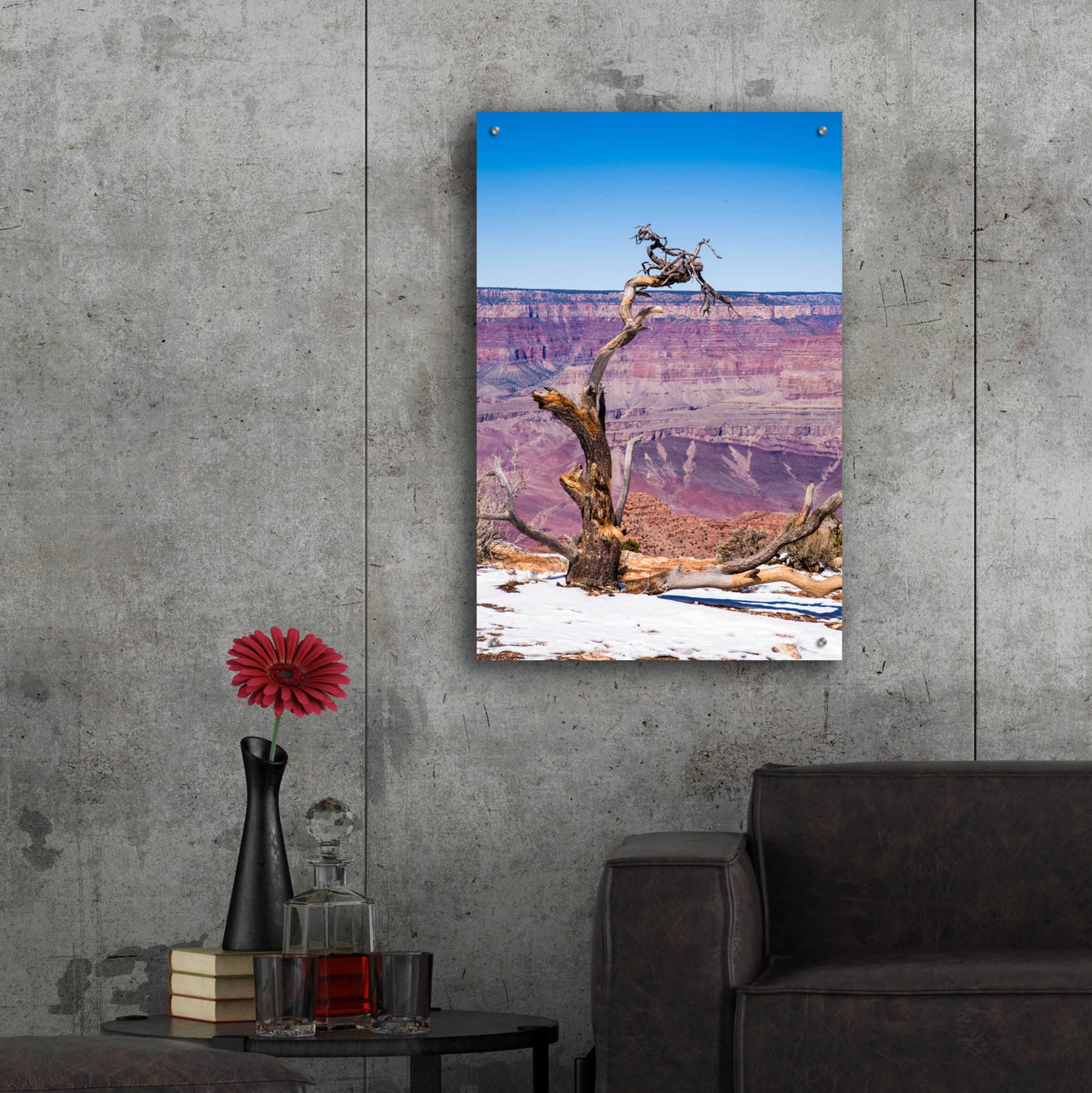 Epic Art ' Dead Tree In Grand Canyon II' by Robin Vandenabeele, Acrylic Glass Wall Art,24x36