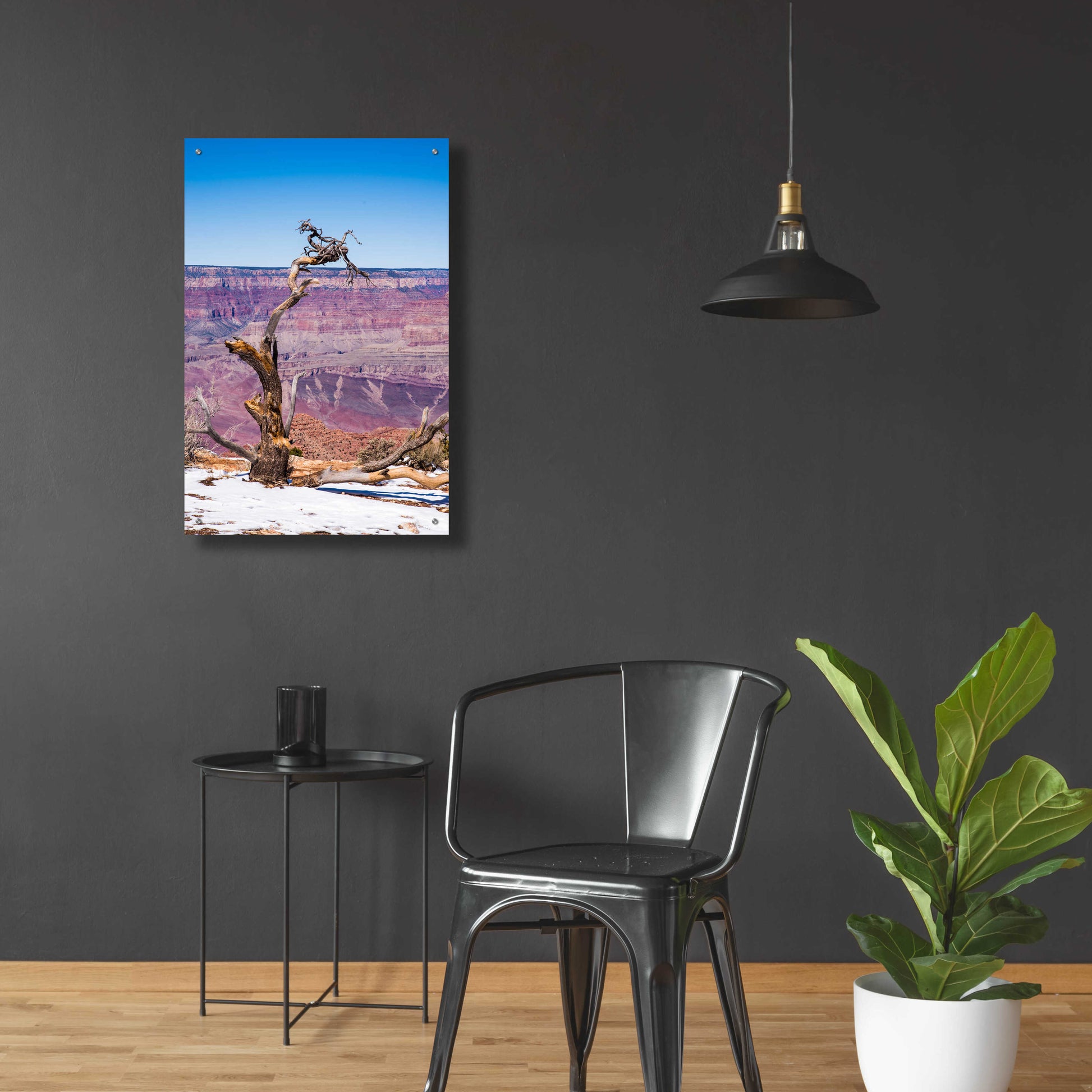 Epic Art ' Dead Tree In Grand Canyon II' by Robin Vandenabeele, Acrylic Glass Wall Art,24x36