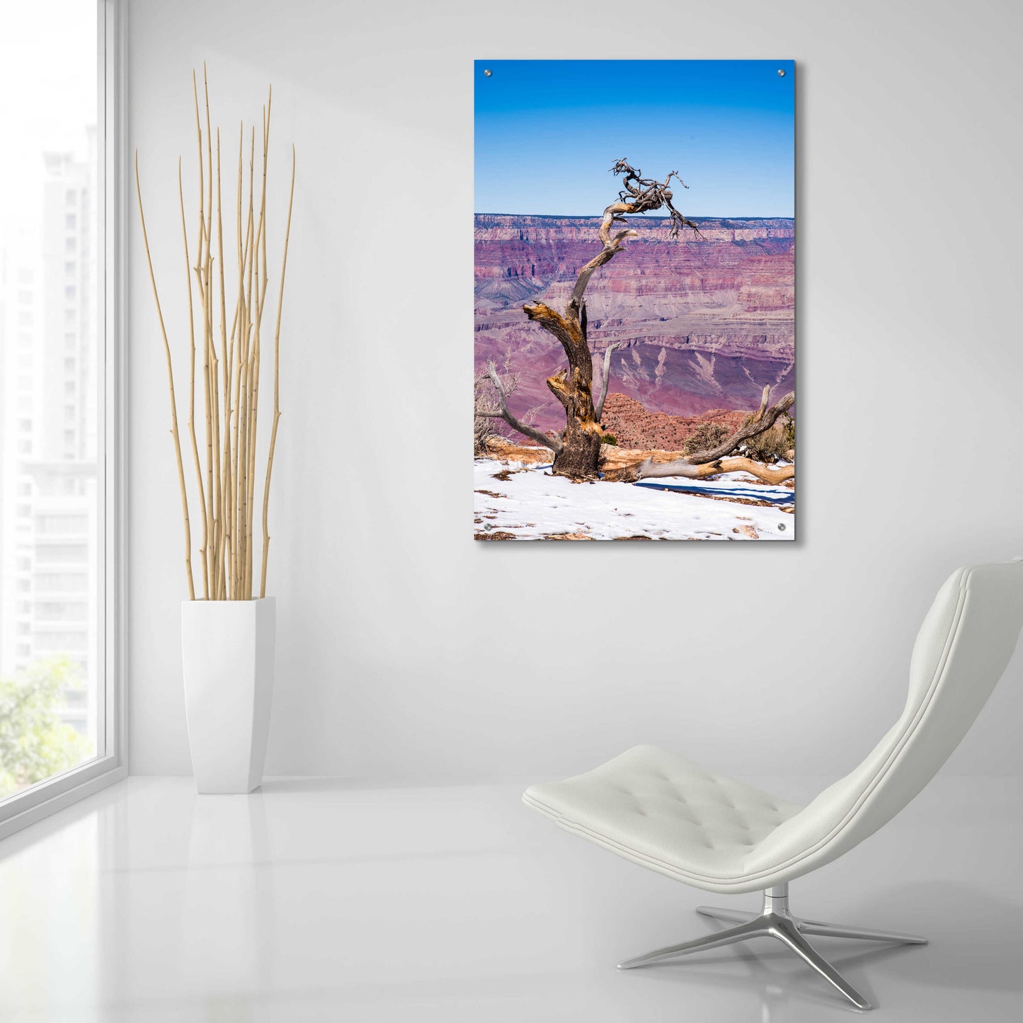 Epic Art ' Dead Tree In Grand Canyon II' by Robin Vandenabeele, Acrylic Glass Wall Art,24x36