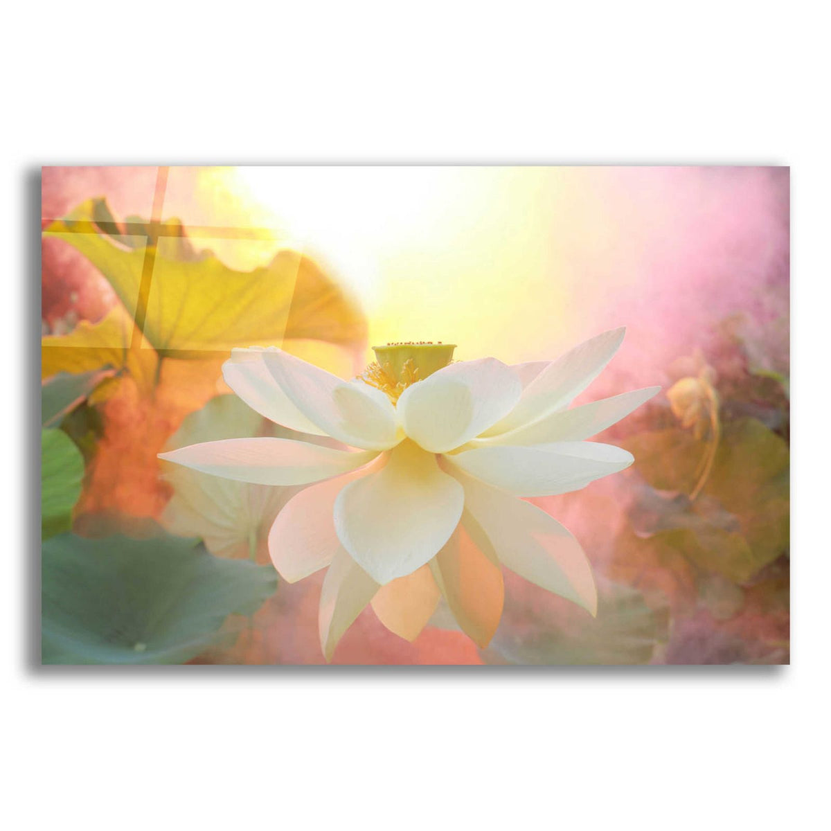 Arise by Bahman Farzad acrylic glass wall art