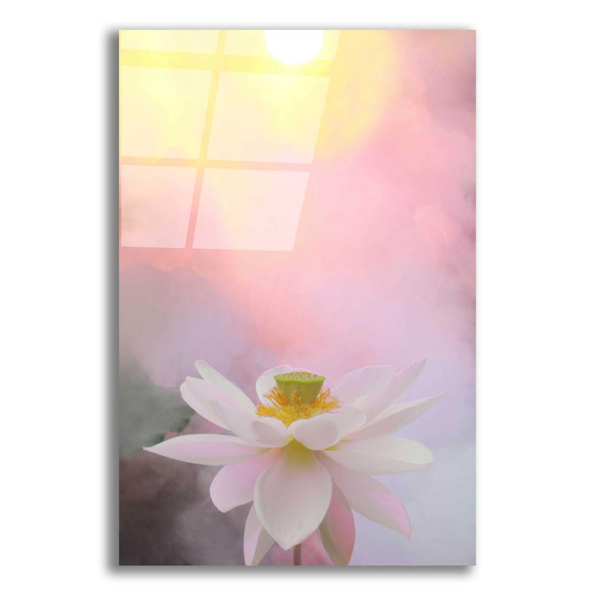 Beauty at Dawn by Bahman Farzad acrylic glass wall art