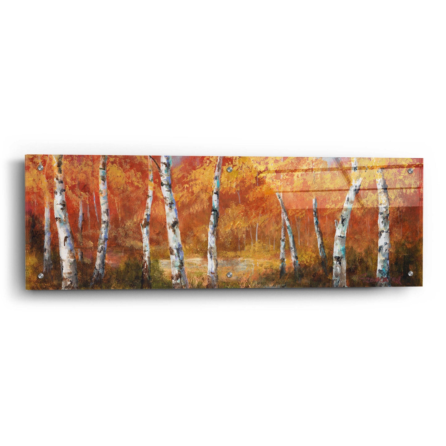 Epic Art 'Autumn Birch I' by Art Fronckowiak, Acrylic Glass Wall Art,36x12