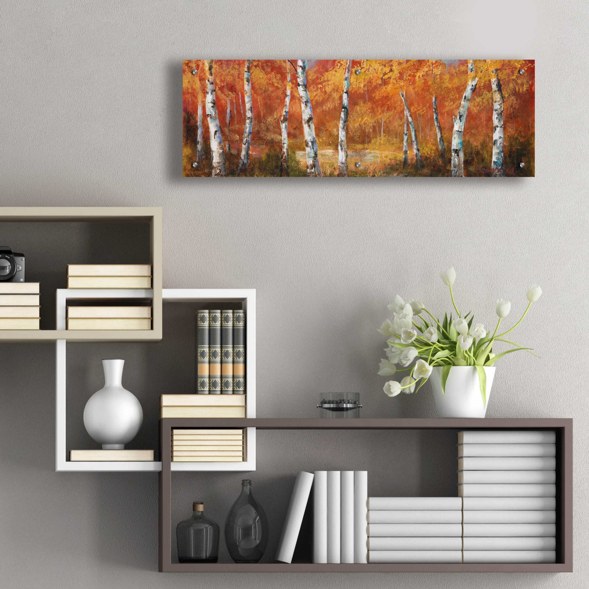 Epic Art 'Autumn Birch I' by Art Fronckowiak, Acrylic Glass Wall Art,36x12