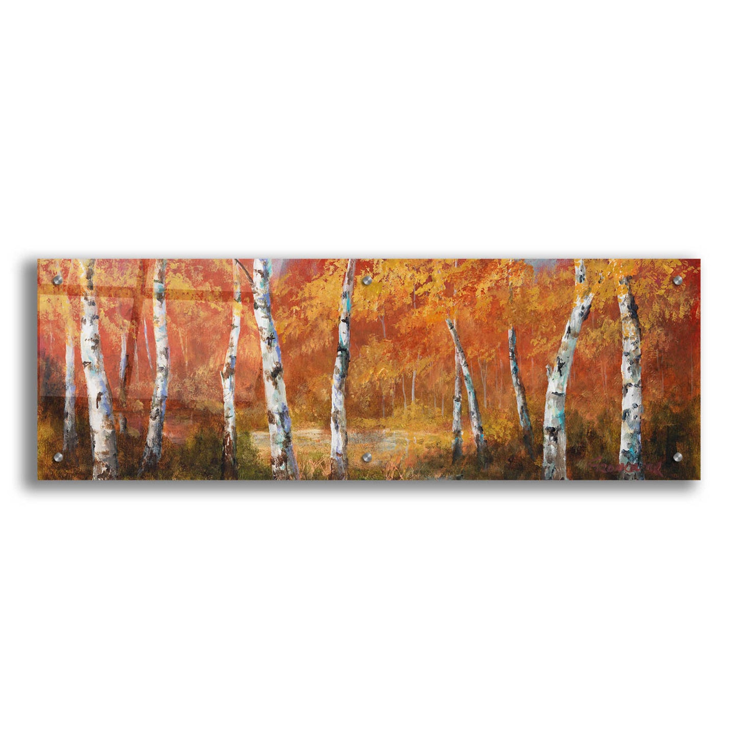 Epic Art 'Autumn Birch I' by Art Fronckowiak, Acrylic Glass Wall Art,36x12