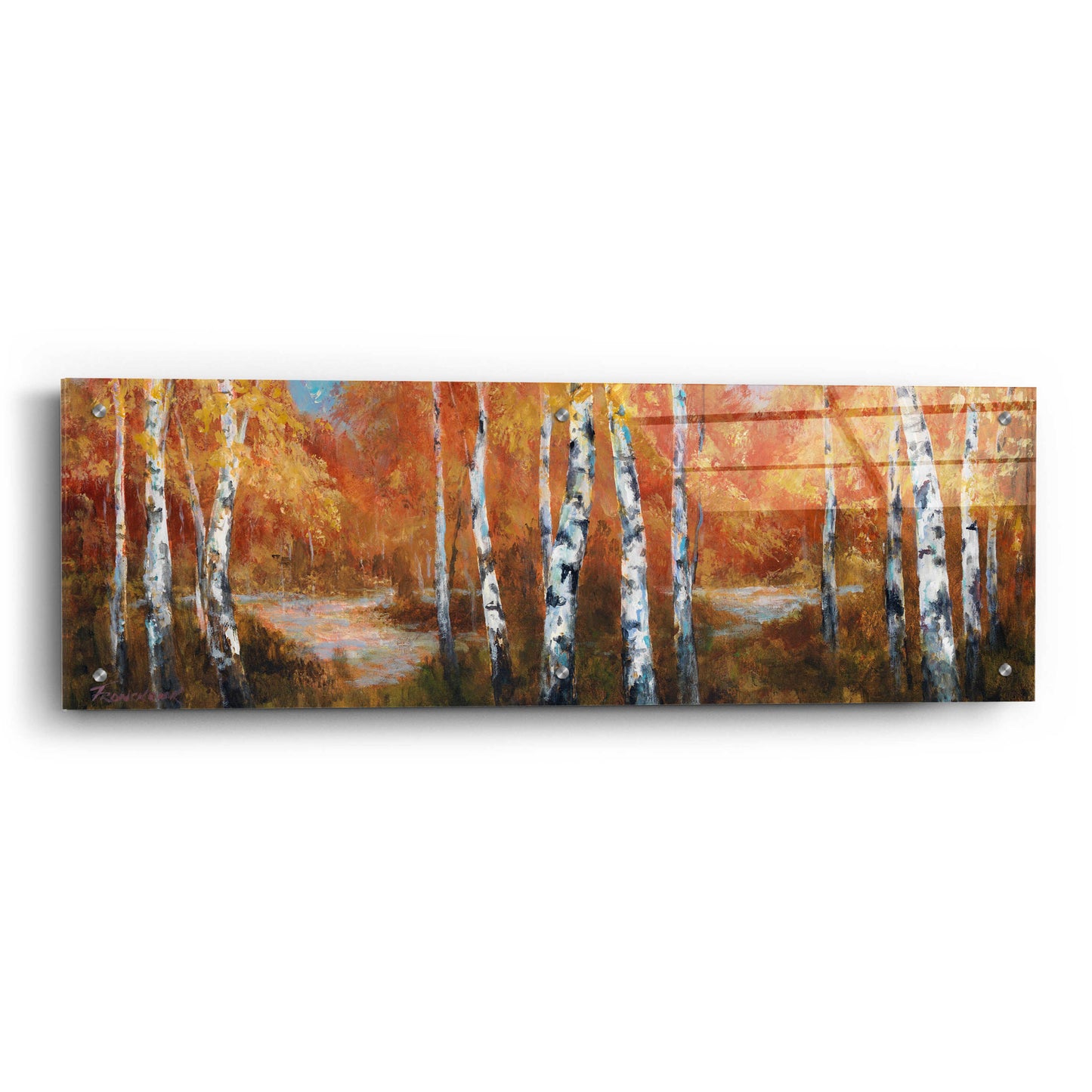 Epic Art 'Autumn Birch II' by Art Fronckowiak, Acrylic Glass Wall Art,36x12